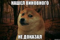 нашел виновного не доказал