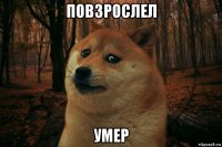 повзрослел умер