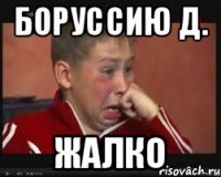 боруссию д. жалко