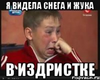 Я видела снега и жука В издристке