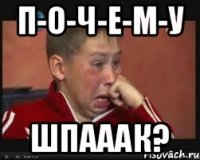п-о-ч-е-м-у ШПАААК?