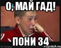 О, май гад! пони 34