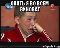 Опять я во всем Виноват 