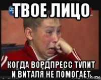 твое лицо когда вордпресс тупит и виталя не помогает