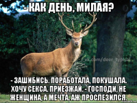 - как день, милая? - зашибись. поработала, покушала. хочу секса. приезжай. - господи, не женщина, а мечта. аж прослезился.