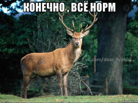 конечно , всё норм 