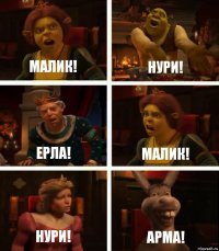 Малик! Нури! Ерла! Малик! Нури! Арма!