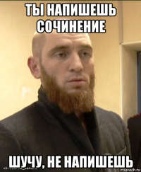 ты напишешь сочинение шучу, не напишешь