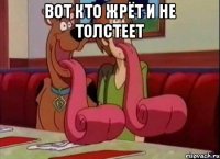 вот кто жрёт и не толстеет 