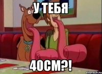 у тебя 40см?!