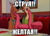 Струя!! Желтая!!