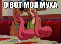 о вот моя муха 