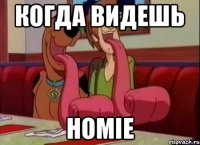 когда видешь HOMIE