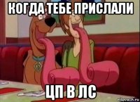 Когда тебе прислали ЦП в ЛС