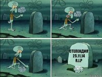 степендия 25.11.14 R.I.P