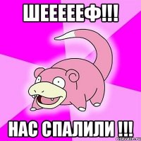 Шеееееф!!! Нас спалили !!!