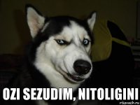 ozi sezudim, nitoligini