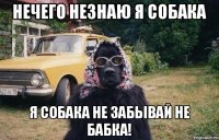 Нечего незнаю я собака Я собака не забывай не бабка!