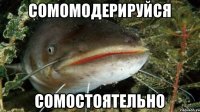 сомомодерируйся сомостоятельно