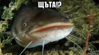щъта!? 