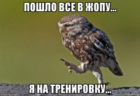 пошло все в жопу... я на тренировку...
