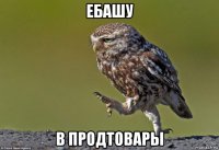 ебашу в продтовары