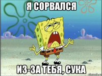 я сорвался из-за тебя, сука