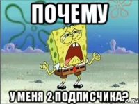 почему у меня 2 подписчика?