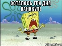 Осталось три дня каникул! 