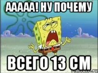 Ааааа! ну почему всего 13 см