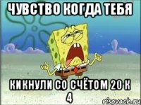 чувство когда тебя кикнули со счётом 20 к 4