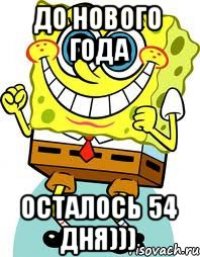 До нового года Осталось 54 дня)))