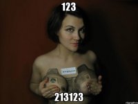 123 213123