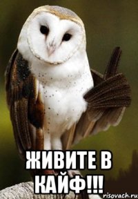  ЖИВИТЕ В КАЙФ!!!