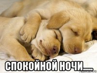  спокойной ночи.....