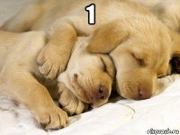 1 