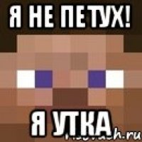 Я не петух! Я утка