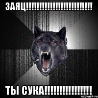 ЗАЯЦ!!!!!!!!!!!!!!!!!!!!!!!!! ТЫ СУКА!!!!!!!!!!!!!!!!