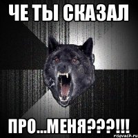 ЧЕ ТЫ СКАЗАЛ ПРО...МЕНЯ???!!!