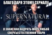 благодаря этому сериалу я знаю, как надрать жопу любой сверхъестественной твари