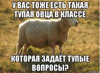 у вас тоже есть такая тупая овца в классе которая задаёт тупые вопросы?