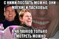 с ними поспать можно, они мягкие и ласковые а на пауков только смотреть можно