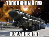 Тополинный пух Жара январь!