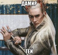 дамир гей