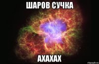 шаров сучка ахахах