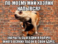 по-моему мий хозяин напывся? значыть сьогодни я получу много всяких ласок в свой адрес