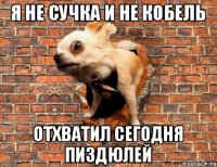 я не сучка и не кобель отхватил сегодня пиздюлей