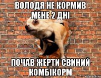 Володя не кормив мене 2 днi Почав жерти свиний комбiкорм