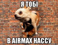 я тобі в airmax нассу