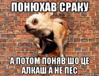понюхав сраку а потом поняв шо це алкаш а не пес